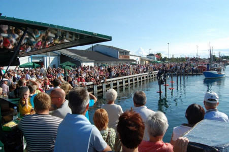Fest i Hvalen 2018